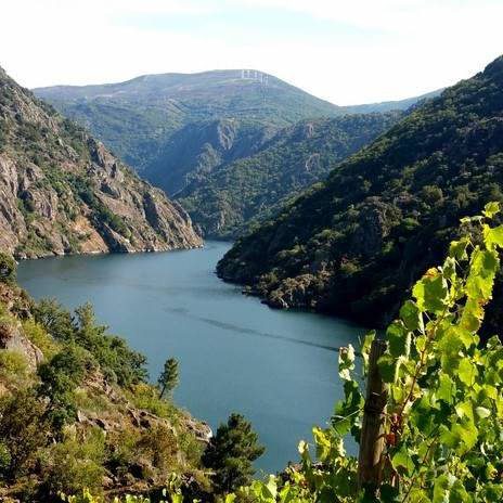 ribeira-sacra